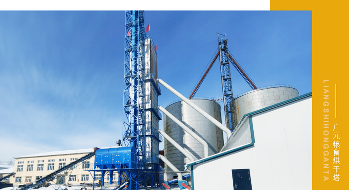 500Twm真人烘干塔