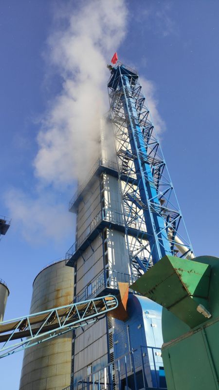 500吨wm真人烘干塔