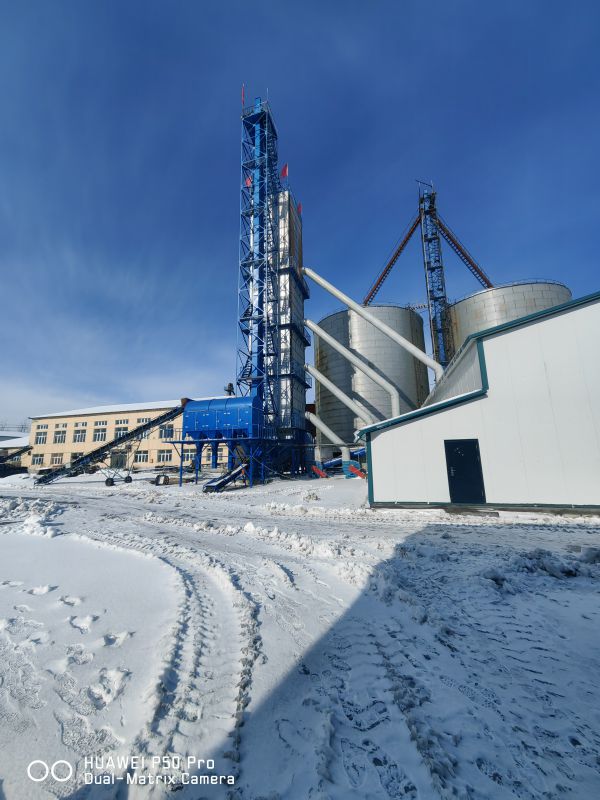 500吨wm真人烘干塔