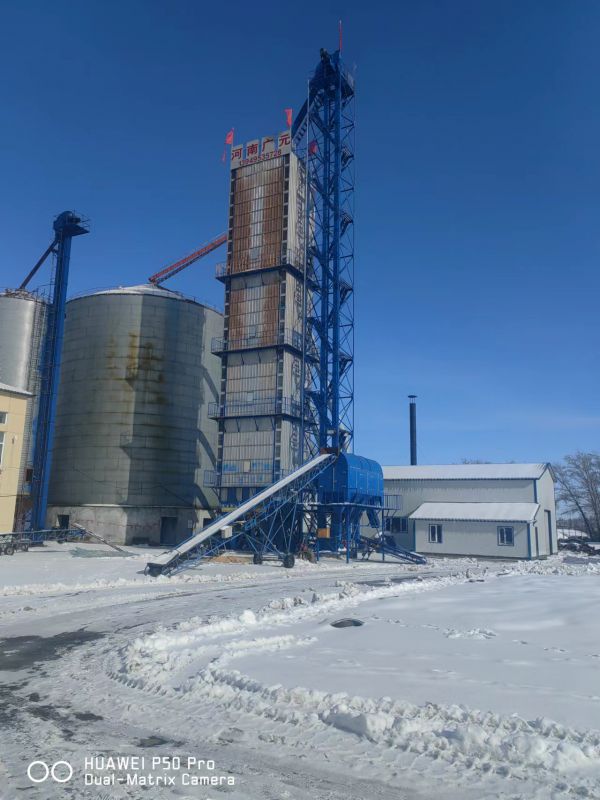 500吨wm真人烘干塔